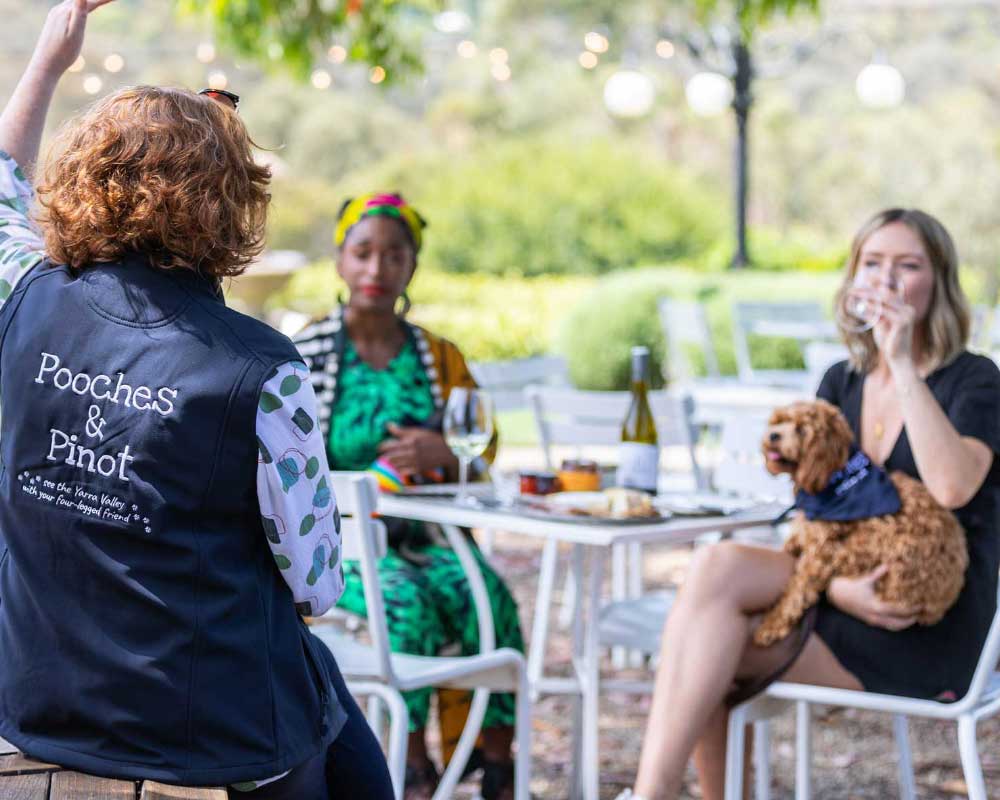 Full day wine tour in the Yarra Valley, Victoria