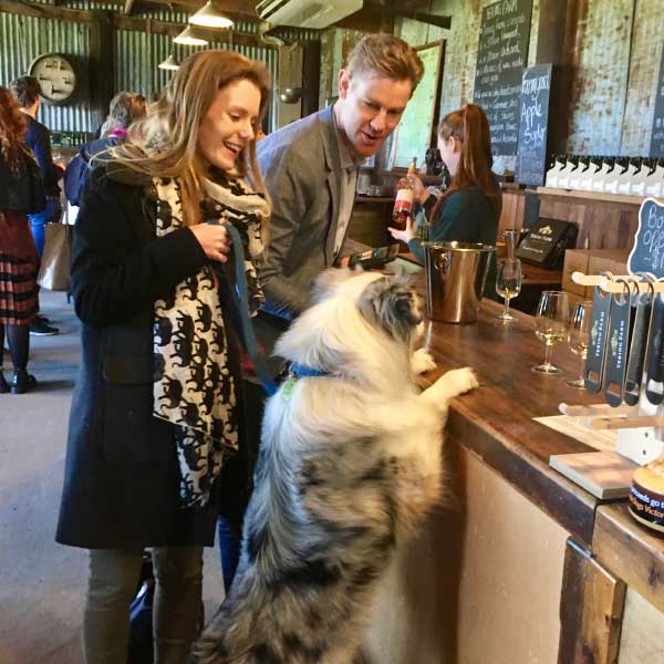 Dog friendly winery